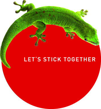 APM_Gekko_Vektor.jpg