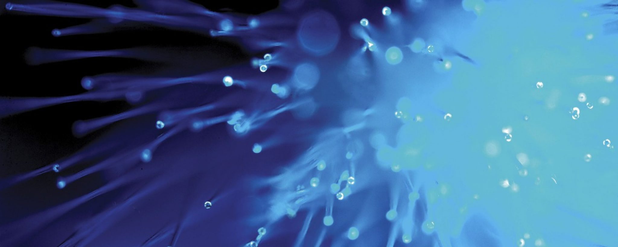 Close-up of bright blue, lit optical fibers